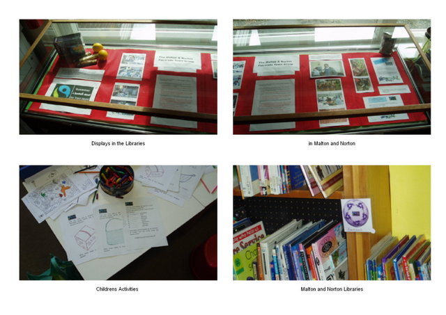 Library Displays 2008